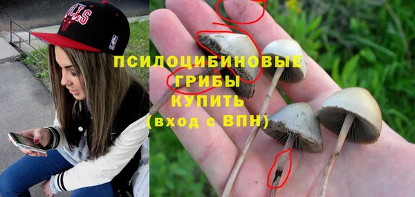 метамфетамин Верея